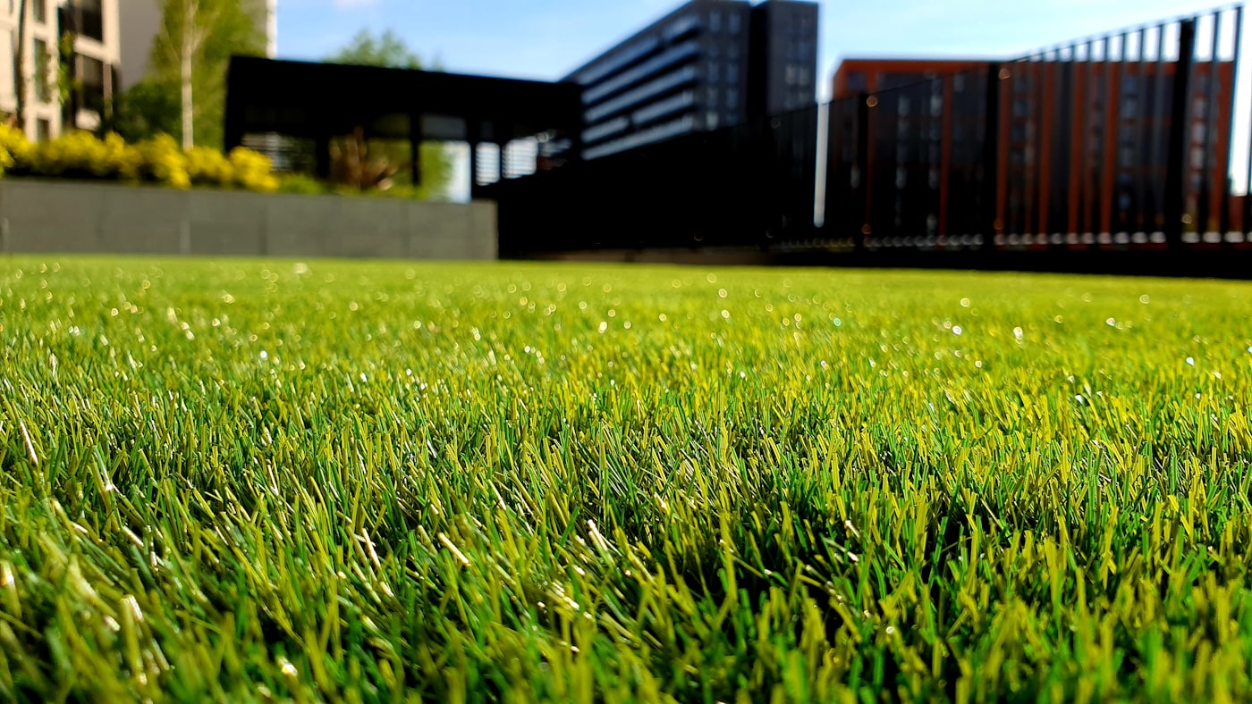Manicured lawn and garden beds